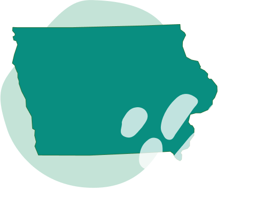 State banner image