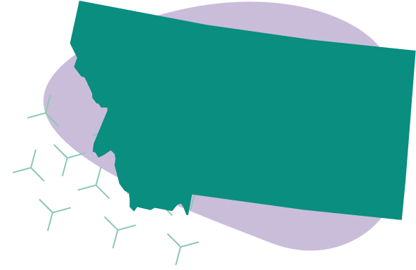 State banner image
