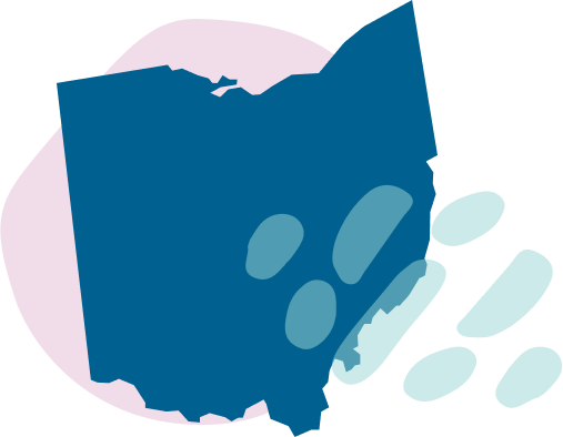 State banner image
