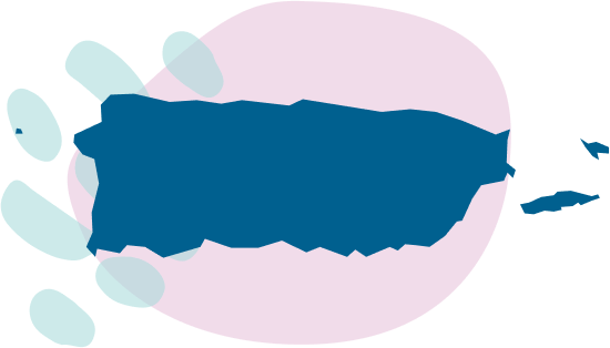 State banner image