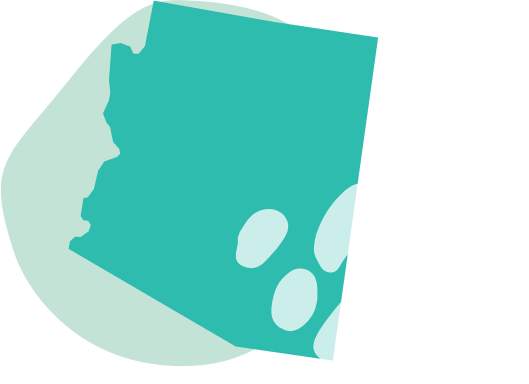 State banner image