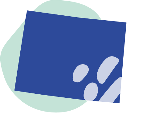 State banner image