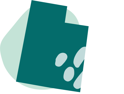 State banner image